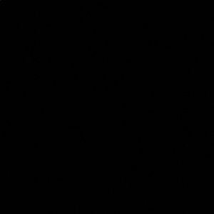 Meet your Posher, Ariana